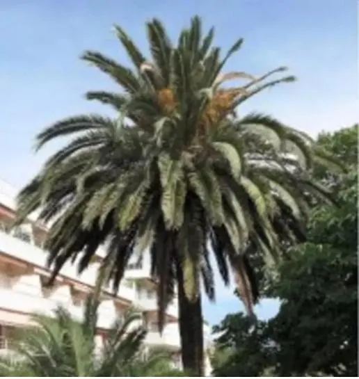 Eden Apartment Saint-Tropez